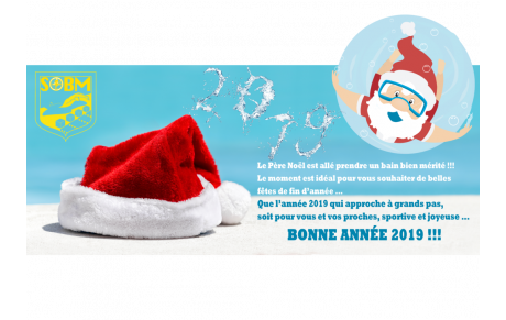 Bonne année 2019 !!!